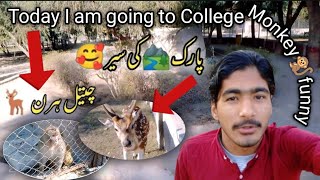 Park 🏞️ Ki Sair 🥰 | Monkey 🐒 | Deer 🦌 | Birds 🕊️🐦