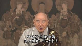 【自性彌陀，唯心淨土】淨土大經解演義節要 第196集｜#淨空老法師