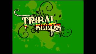 Tribal Seeds - Sun n' Water