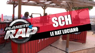 SCH et Jul forcent Le Rat Luciano à sortir des morceaux #PlanèteRap