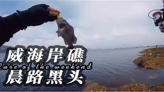 回威海第一天，小黑头尽地主之谊