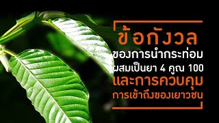 ข้อกังวลของการนำกระท่อมผสมเป็นยา 4 คูณ 100 และการควบคุมการเข้าถึงของเยาวชน