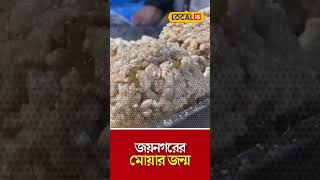 এই ছোট্ট গ্রামে জন্ম হয়েছিল জয়নগরের মোয়ার | #JaynagarerMoa | #local18 #local18shorts