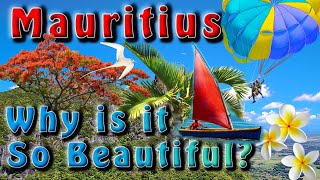 The Complete Mauritius Discovery Adventure (All Attractions, Aerial View & best places to visit 360)