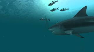 Sharks 3D Live Wallpaper and Screensaver Trailer