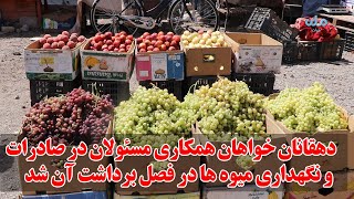 دهقانان در هرت  خواهان همکاری مسئولان محلی در قسمت صادر و نگهداری میوه در فصل برداشت آن شد.