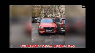 駐車下手動画・衝撃映像・事故