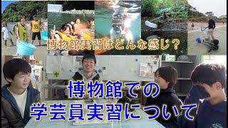 実習希望者は必見！観音崎自然博物館の学芸員実習について