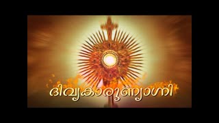 DIVYAKARUNYAGNI  EPI 100  Fr George Nuzhaithadam  ST JUDE SHRINE KOTTACKUPURAM