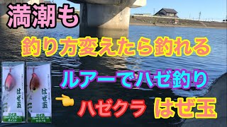 満潮も釣り方変えたら釣れるハゼクラ ルアーでハゼ釣り 三河湾 ダイソールアーロッド