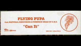 Flying Pupa - Can It