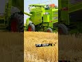 harjeet combine harvestermachine combineharvester harvester harvesterwala combinemachine short