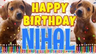 Happy Birthday Nihal! ( Funny Talking Dogs ) What Is Free On My Birthday