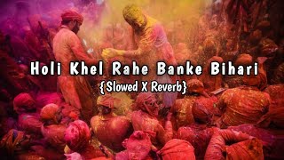 Holi Khel Rahe Banke Bihari (Slowed X Reverb) | Holi Special Song 2023 | AS MUSIC PRODUCTION ✨