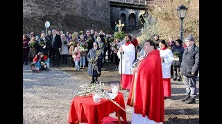 Palmsonntag in der Stadtpfarrkirche Mülln, Salzburg