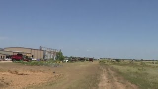 Extreme heat and dry conditions have big impact on Rice fields in Katy