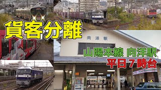 【貨客分離】山陽本線向洋駅 平日7時台の発着通過