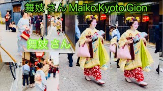 舞妓 さん 舞妓 さん 芸鼓 さん 2024 /31/ 03 Maiko Kyoto Gion #maiko #kyoto 4K🥰