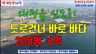 173. [제주도토지] 도로건너가 바로 맑은날 돌고래가 뛰노는 파란 신도바다인 명품 카페부지ㅣ계약과 동시에 건축허가 진행조건  분할매매ㅣ광개토왕공인중개사 010-6232-6260