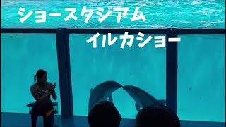 伊豆・三津シーパラダイス_ショースタジアム_イルカショー