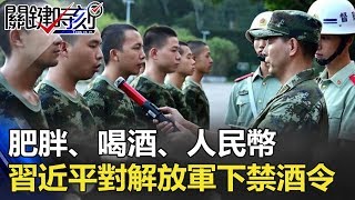 肥胖、喝酒、人民幣 習近平對解放軍怒下禁酒令的背後… 關鍵時刻 20171115-4 朱學恒 馬西屏 劉燦榮 王瑞德 丁學偉