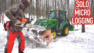 Harvesting a Tree in Winter from Start to Finish