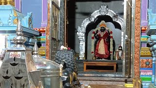 திரு கைலாயம் பதிகம் வழிபாடு 🪔ராஜகணபதி ஐயா கானமழையில் ஸ்ரீசிவயோகிசிவபாலாஜிசாமிகள் இராமலிங்கசௌடேஸ்வரி