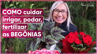 Aprenda como deixar sua BEGÔNIA mais bonita e saudável | Flávia Kremer