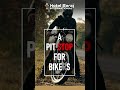 Spot for Bikers - Hotel Seraj International