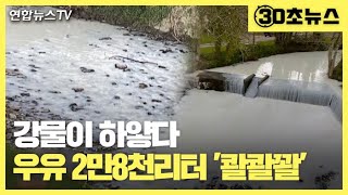 [30초뉴스] 강물이 하얗다…우유 2만8천리터 '콸콸콸' / 연합뉴스TV (YonhapnewsTV)