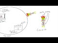 COVID-19 Vaccine Video - Animated