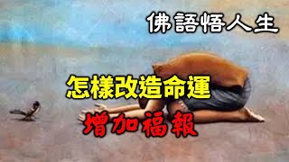 一生得菩薩保佑！怎樣改造命運，增加福報！一次轉發！多人受益！ | 今日佛學