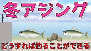 【冬アジング】魚の活性が下がる時期どうすれば釣ることができる