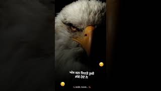 ਛੱਡੇ ਹੋਏ ਨੈ😒 new punjabi attitude shayari short #attitude #attitudeshayari  #short #shayari #punjabi