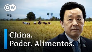 La influencia china en la FAO | DW Documental