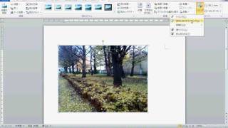 Word 2010 で画像を図形に合わせてトリミングする手順