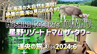 星野リゾート トマム ザ・タワー🐄広大な大地を楽しみつくす！絶景の雲海は見られるのか...⛈️