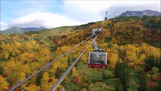 大雪山旭岳紅葉 2021.9.22 ロープウェイ車窓から