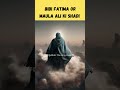 Bibi Fatima or Maula Ali ki shadi #viral #shorts #fatima #nabi #shadi #maulaali