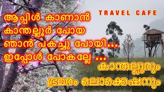 ആദ്യമായി ആപ്പിൾ മരം തേടി ഒരു കാന്തല്ലൂർ യാത്ര/കാന്തല്ലൂർ/Kanthalloor/Travel cafe