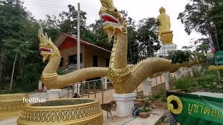 ชมวิววัดดอยเทพสมบูรณ์​ พระพุทธชยันตี​หนองบัวลำภู