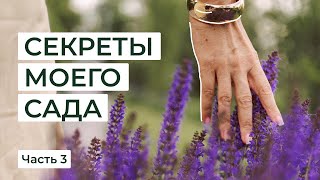 Секреты моего сада [часть 3]