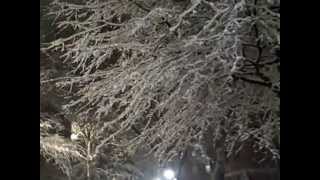 Feb. 5, 2010 Evening Walk Washington DC snow storm hits.mp4