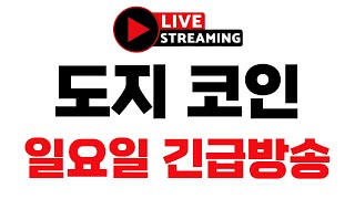 [도지코인] 긴급속보! LIVE \