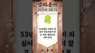 오늘의 뱀띠 운세 2025년 2월 1일 #뱀띠 #오늘의운세 #내일의운세 #운세 #운세쇼츠