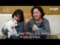 사람 나이로 합치면 230살인 두 강아지에게 견주가 매일 해주는 말ㅣfamily prepares farewell with dogs over 100 years old