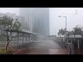 hong kong raises highest warning for severe typhoon hato