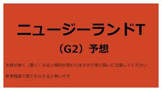 【競馬予想】ニュージーランドT 2018予想【G2】