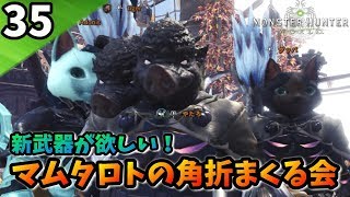 【MHW】本日もマムタロトと戯れよう【モンハンワールド】