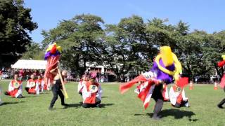 2013年秋とわだyosakoi夢祭り「横手舞組キッズ」